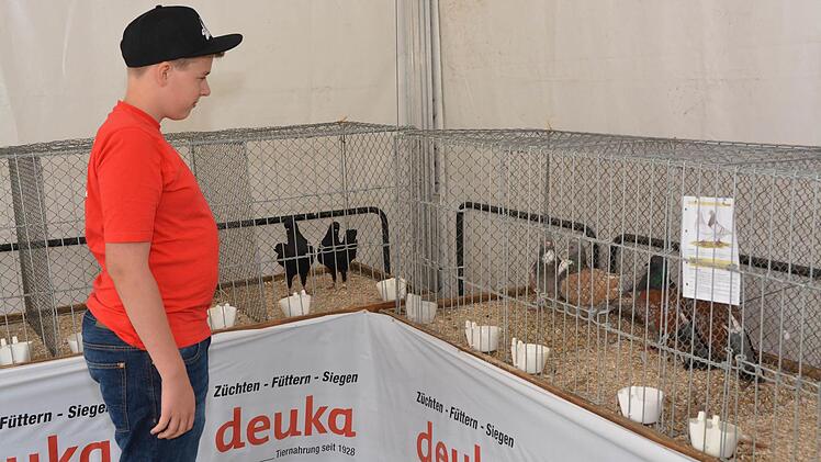 Marcel Nöth aus Brendlorenzen, selbst Mitglied bei den Kleintierzüchtern, passte während der Ausstellung auf die gezeigten Tiere auf. Foto: Björn Hein