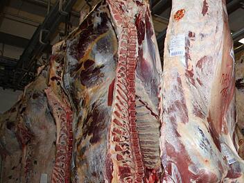 Symbolbild Foto: Dagmar Besand