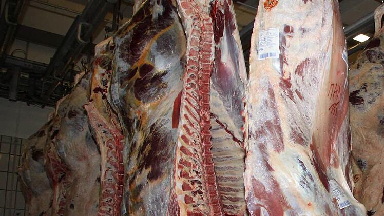 Symbolbild Foto: Dagmar Besand