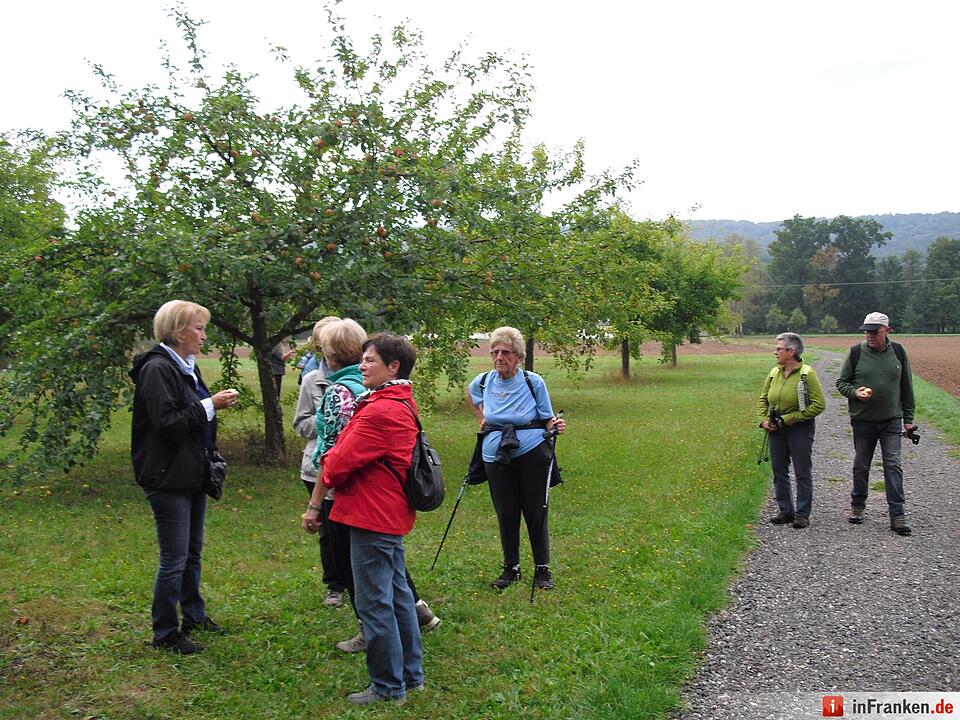 ABO Plus-Herbstwanderung Bamberg