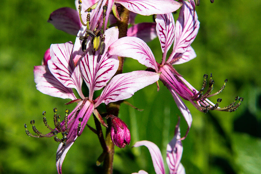 Fotos Konrad Thomann