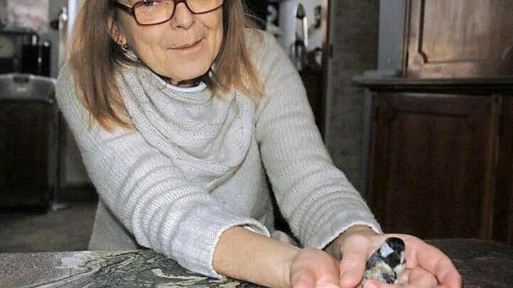 Monika F&uuml;llgraf mit Kohlmeise Stubsi, die von einer Katze erwischt worden war. Im Fr&uuml;hjahr soll sie wieder fliegen k&ouml;nnen. Foto: Andreas Thamm