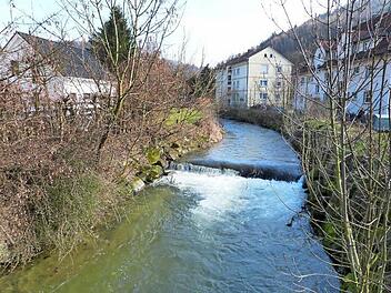 Für die Schorgast erfolgte 1972/73 eine Hochwasserfreilegung Foto: Werner Reißaus