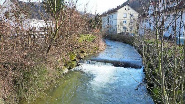 Für die Schorgast erfolgte 1972/73 eine Hochwasserfreilegung Foto: Werner Reißaus