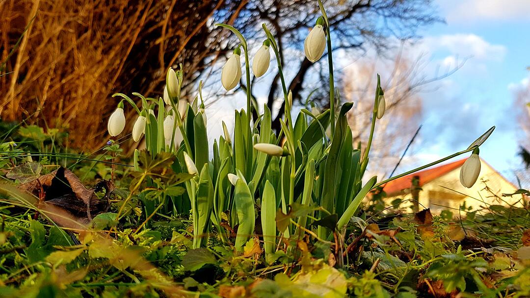 Die schönsten Winterfotos aus Bad Kissingen und Umgebung