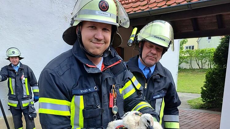Frensdorf: Feuerwehr rettet Storchenbaby von Kirchendach