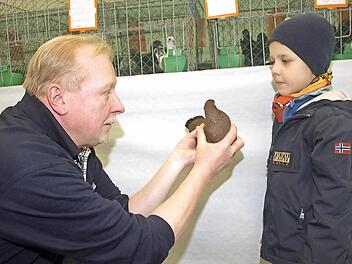Mit "Niederländische Hochflieger Schornsteinfeger" erzielte Jürgen Günder die Höchstnote "vorzüglich". Auf unserem Foto zeigt er dem fünfjährigen Adrian seine hochprämierte Taube.  Foto: Stefan Geiger