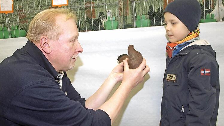 Mit "Niederländische Hochflieger Schornsteinfeger" erzielte Jürgen Günder die Höchstnote "vorzüglich". Auf unserem Foto zeigt er dem fünfjährigen Adrian seine hochprämierte Taube.  Foto: Stefan Geiger