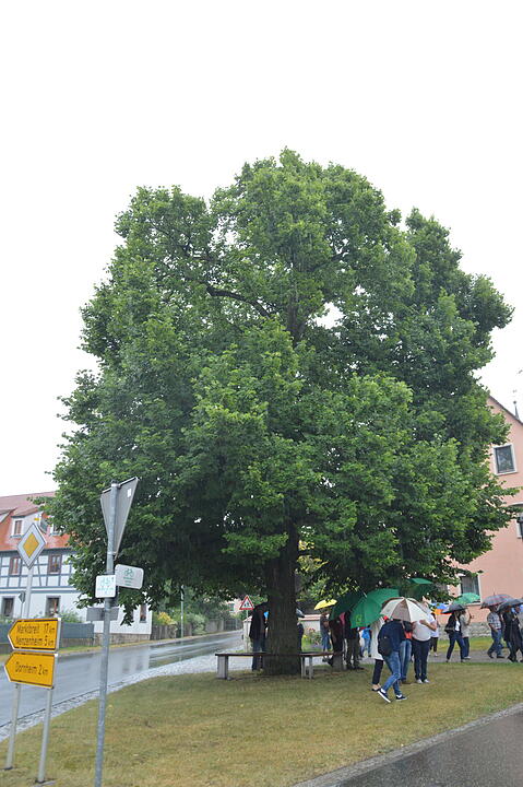 Hellmitzheim hat Zukunft