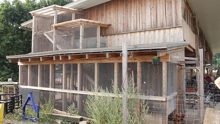 Frei zugängliches Hühnerparadies auf mehreren Etagen auf dem Biohof von Mario Hümpfer.