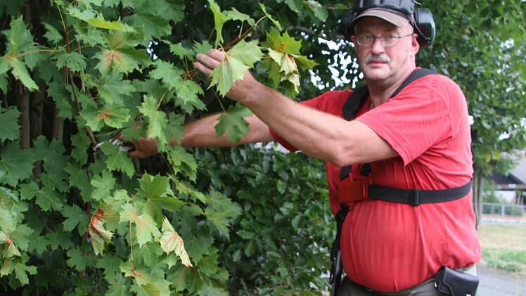 Wenn Büsche wuchern, sorgt Klaus Hieke dafür, dass die Schilder trotzdem gut zu sehen sind. Immer wieder muss ausgeschnitten werden.