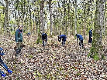Mit fachlicher Unterstützung ging es in den Wald bei Ebenhausen und Rottershausen. Dort wurden Bäume gepflanzt und Jungbäumen Platz zum Wachsen gemacht.
