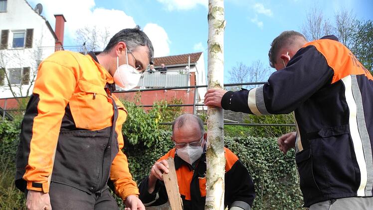 Keile helfen, den aufgerichteten Baum zu fixieren. Foto: ssp