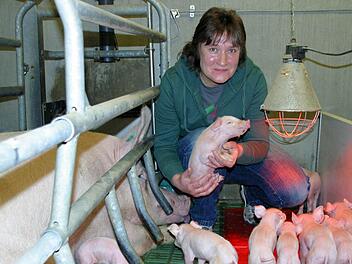 Die Tage, an denen die neuen Ferkel das Licht der Welt erblicken, sind für Züchterin Christine Maier die schönsten. Beim Rundgang durch ihren Betrieb schilderte die Hattersdorferin am Donnerstag auf Einladung der Coburger Geschäftsstelle des BBV ihre verantwortungsvolle Arbeit.