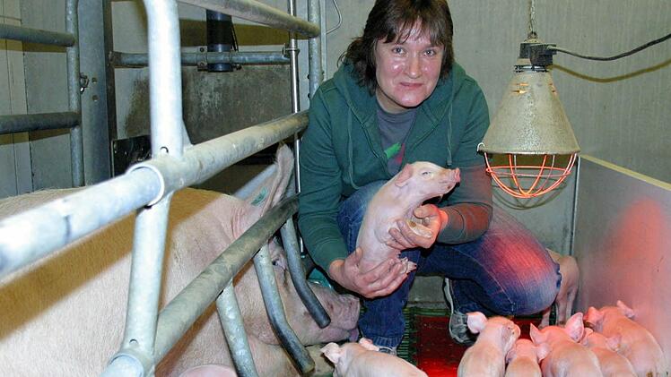 Die Tage, an denen die neuen Ferkel das Licht der Welt erblicken, sind für Züchterin Christine Maier die schönsten. Beim Rundgang durch ihren Betrieb schilderte die Hattersdorferin am Donnerstag auf Einladung der Coburger Geschäftsstelle des BBV ihre verantwortungsvolle Arbeit.