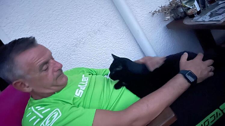 Hesse sucht in Erlangen verzweifelt nach Kater - dann ruft Ordnungsamt an