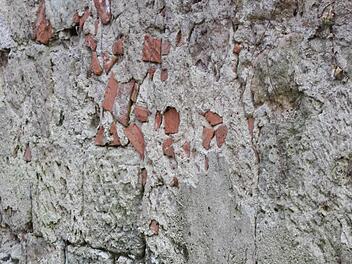 Uehlfelds Bürgermeister Werner Stöcker glaubt in diesem Mauerstück eine Bogenstruktur zu erkennen, die Denkmalpfleger sind sich nicht sicher. Foto: Sonja Werner