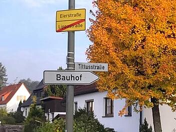 In Anspielung auf den geplanten Stall für 12 000 Legehennen  in Hohenreuth haben Scherzbolde in Mannsflur aus der Lippastraße die Eierstraße gemacht.privat