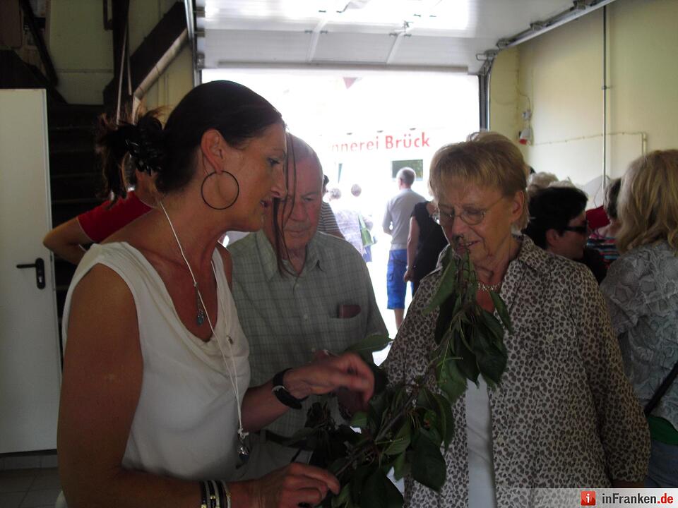 ABO Plus Kirscherntenfahrt 17.07.2015