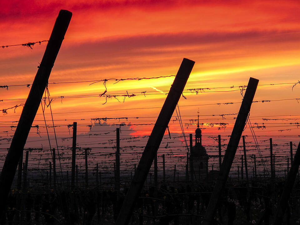 Fotos Konrad Thomann