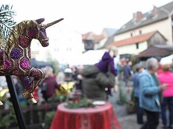 Zauberhafte Weihnachts- und Adventsdekorationen, aber auch Geschenkideen gab es beim ersten Eggenbacher "Weihnachtszauber" am Wochenende.  Fotos: Popp