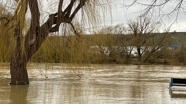 Randersacker: Hochwasser flutet beliebte "Mainlände" - Feuerwehrkommandant erklärt Situation