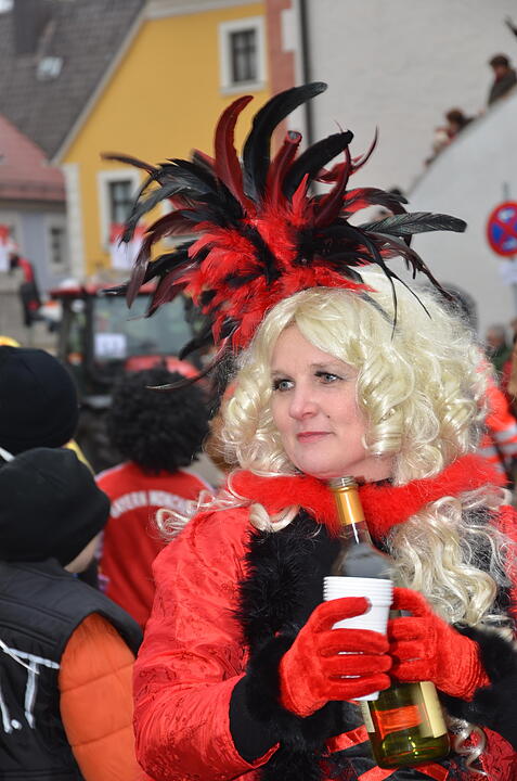 Landkreisfaschingszug 2015