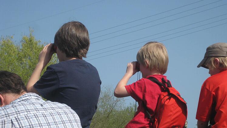 Vom Aussichtspunkt aus lässt sich die Tierwelt rund um den Erlebnispfad Mainaue am Hochreinsee mit dem Fernglas erkunden.