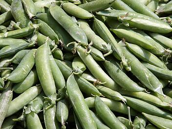 Ein oberfr&auml;nkischer Landwirt hat w&auml;hrend des Transports rund f&uuml;nf Tonnen Erbsen verloren. Symbolbild: Frederik von Erichsen/dpa