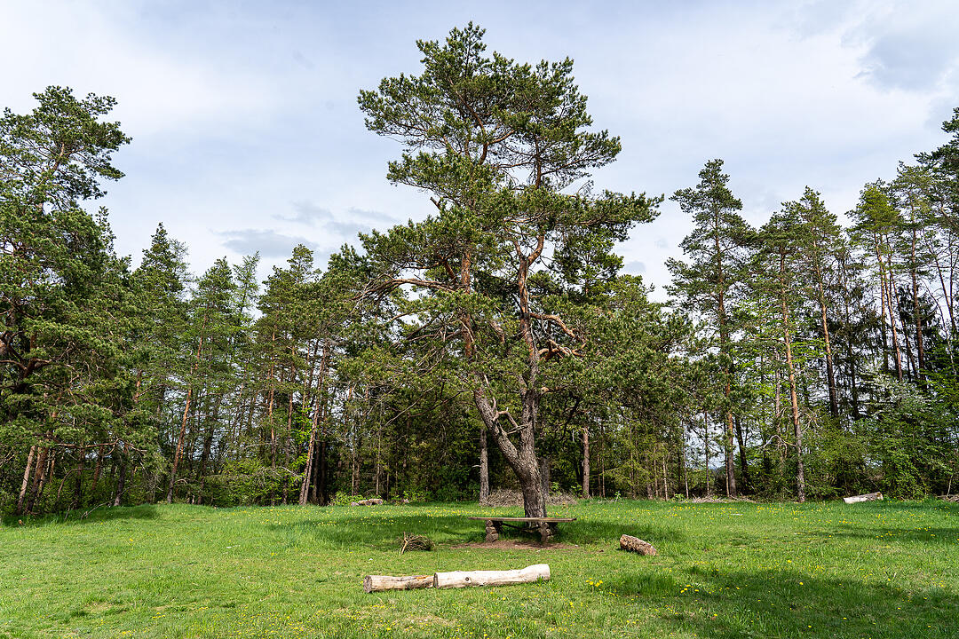 Der große Burgfels dient als toller Aussichtspunkt.