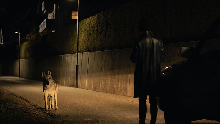 Der Wolf kommt den Menschen immer n&auml;her. Das muss auch Ira Zach (Lavinia Wilson) feststellen, als eines Nachts ihr Auto in einem Wohngebiet liegen bleibt.