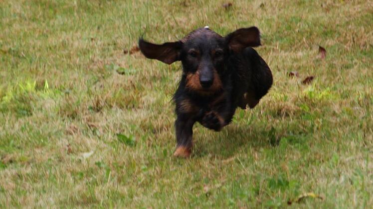 Foto: Mariell Dörrschmidt