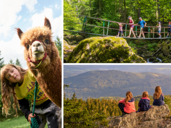 Tourismusverband Ostbayern e. V.: Plane deinen perfekten Familienurlaub im Bayerischen Wald