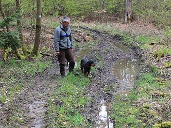 Tiefe Spuren haben hier in der Abteilung "Urweidensee" im Stadtwald bei Jesserndorf Holzrückfahrzeuge hinterlassen. Manchmal ist das nicht zu vermeiden, sagte Förster Wolfgang Gnannt, der hier mit seinem Hund "Haifa" eine solche Stelle zeigt. Die Spuren werden zur gegebenen Zeit beseitigt.  Foto: Helmut Will