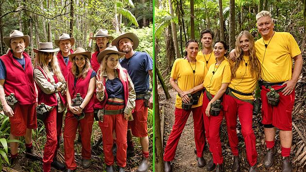 Das Dschungelcamp 2026 teilt die Stars in zwei Lager.