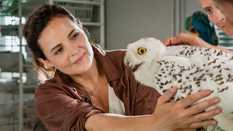 TV Ausblick - ARD - "Tier&auml;rztin Dr. Mertens"