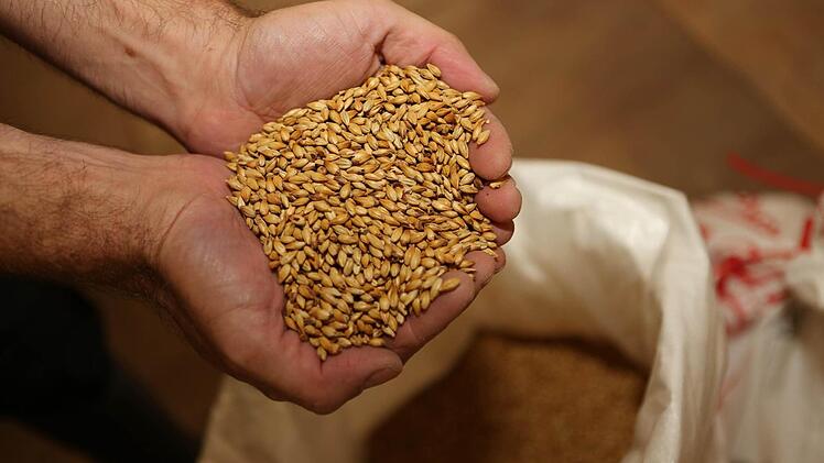 Verschiedene Arten Malz stehen dem Braumeister zur Verfügung.Foto: Barbara Herbst