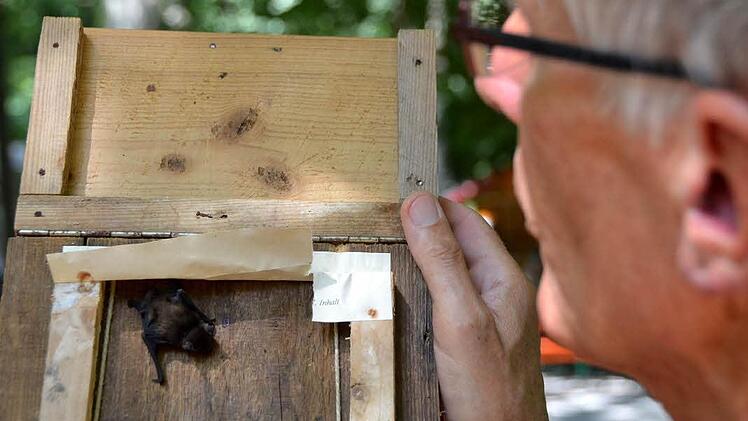 Im Wildpark gab es viel zu entdecken. Foto: Rauch