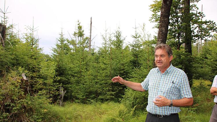 Eindrücke von der Fahrt in den Bayerischen Wald. Foto: Ralf Ruppert