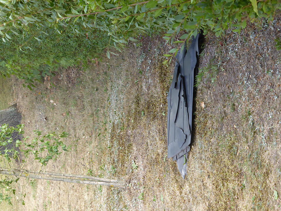 Betrunkener rast in Bamberger Vorgarten