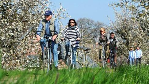 Die "Obstroute" führt in zwei Schleifen von 36 und 37 Kilometern Länge durch die Region Altes Land am Elbstrom - zum Teil mitten durch die Obstplantagen. Foto: djd/Tourismusverband Landkreis Stade/Martin Elsen