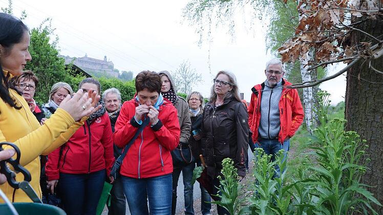 Kräuterseminar: Impressionen einer Entdeckungsreise Foto: Barbara Herbst