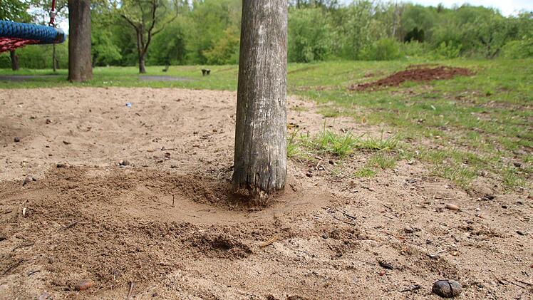 Ein Problem stellen Spielgeräte aus Holz da. Die neuen Geräte sind aus recycelter Plastik. Thomas Malz