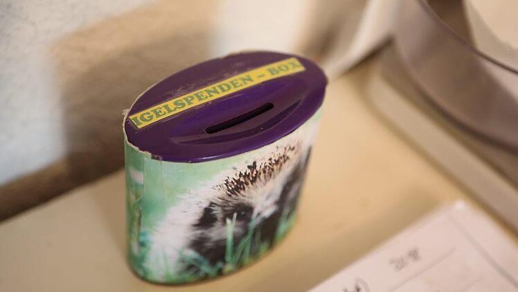 Foto: Barbara Herbst