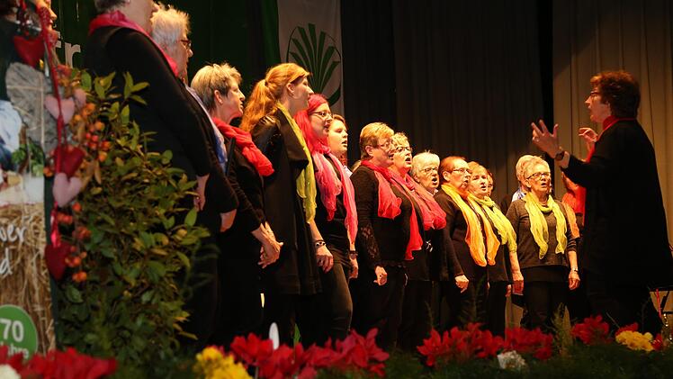 Foto: Franz Galster