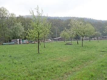 Diese Fläche am Ortsausgang von Welitsch (rechts Richtung Heinersdorf) ist Bestandteil eines Bauleitplanverfahrens mit Flächennutzungsänderung. Foto: K.- H. Hofmann