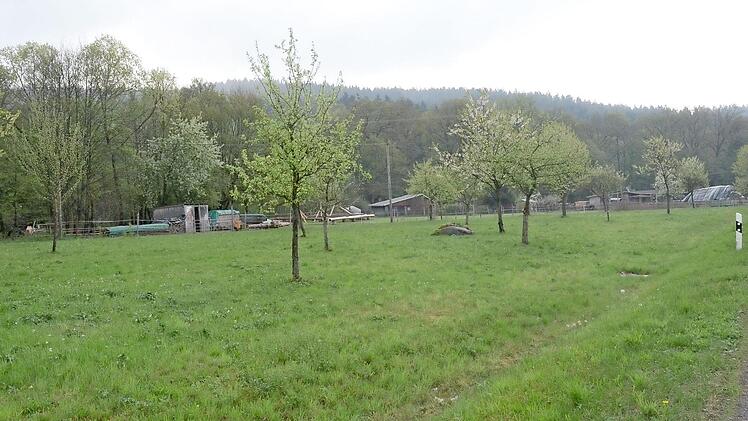 Diese Fläche am Ortsausgang von Welitsch (rechts Richtung Heinersdorf) ist Bestandteil eines Bauleitplanverfahrens mit Flächennutzungsänderung. Foto: K.- H. Hofmann