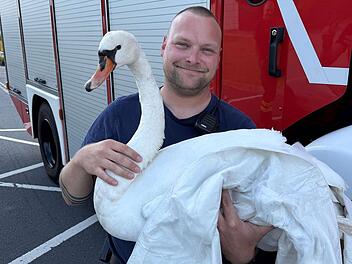 Coburg: Feuerwehr r&uuml;ckt zu ungew&ouml;hnlicher Tierrettung aus