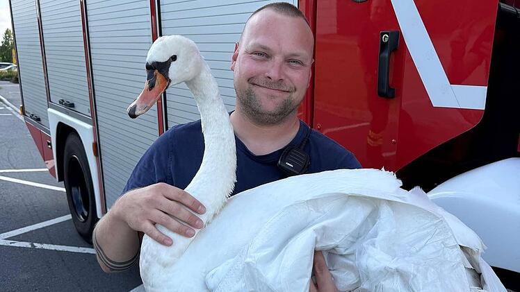 Coburg: Feuerwehr r&uuml;ckt zu ungew&ouml;hnlicher Tierrettung aus