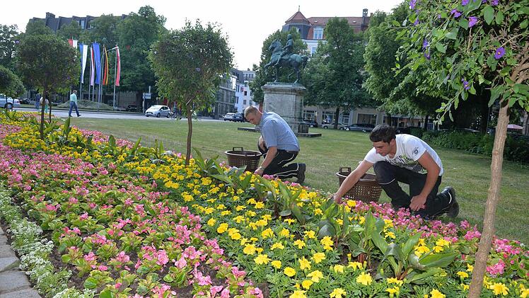 Björn Schlaug (links) und Matthias Hennemann pflegen die Beete am Schönleinsplatz. Blickfang sind hier die lila Enzianbäumchen. Fotos: Ronald Rinklef